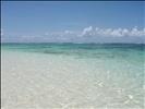 Anegada - Loblolly and Salt Ponds - 24